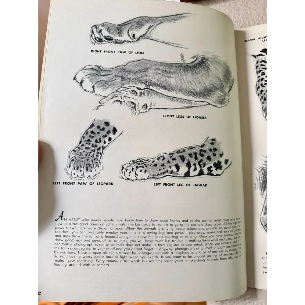The Cats In Action by Walter J. Wilwerding Walter T. Foster Art Books #70